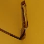 Foto 51